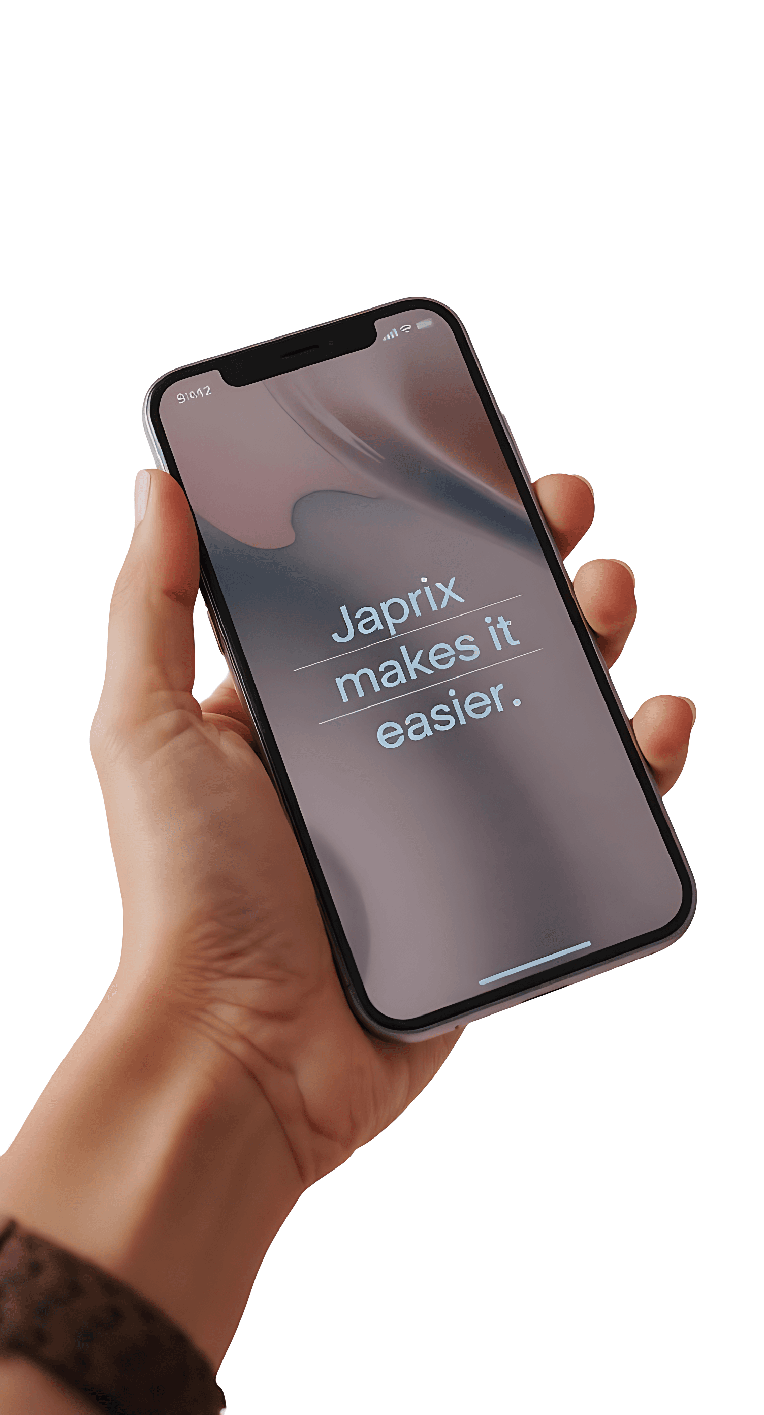 Japanese Shopping Experience